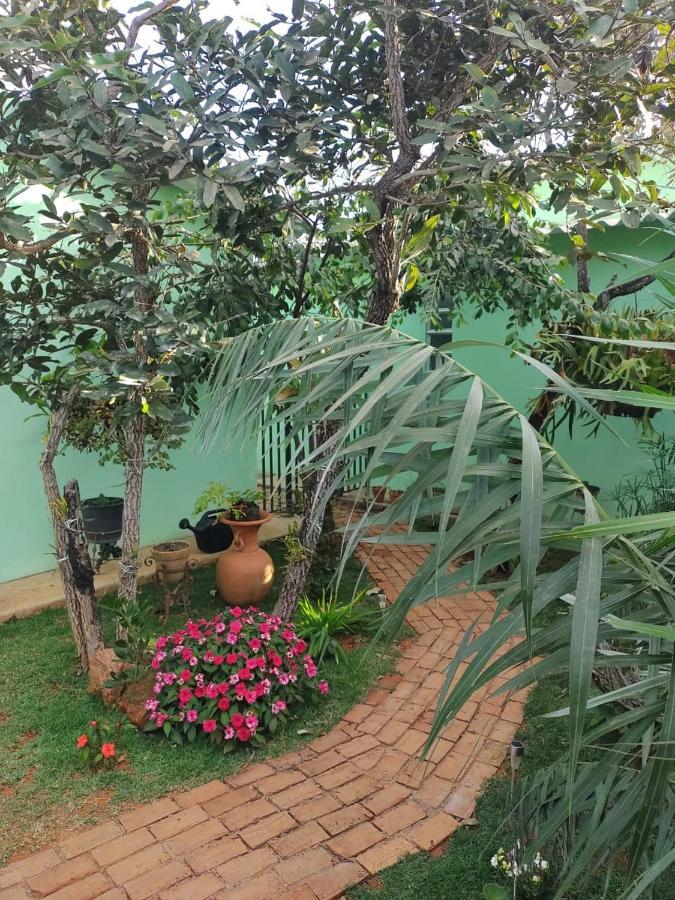 Flores Do Cerrado Alto Paraíso de Goiás Buitenkant foto
